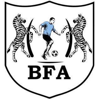 <span class="mw-page-title-main">Botswana national football team</span> National association football team