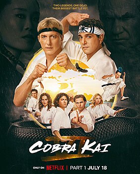 <i>Cobra Kai</i> season 6 Season of television series