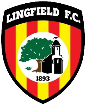 <span class="mw-page-title-main">Lingfield F.C.</span> Association football club in England