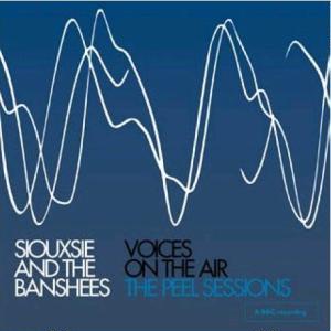 <i>Voices on the Air: The Peel Sessions</i> 2006 live album by Siouxsie and the Banshees