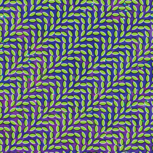 <i>Merriweather Post Pavilion</i> (album) 2009 studio album by Animal Collective