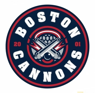 <span class="mw-page-title-main">Boston Cannons</span> American lacrosse team