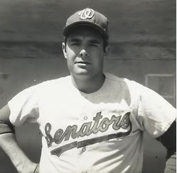 <span class="mw-page-title-main">Frank Bertaina</span> American baseball player (1944–2010)