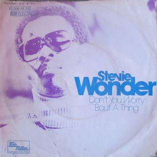 <span class="mw-page-title-main">Don't You Worry 'bout a Thing</span> 1974 single by Stevie Wonder