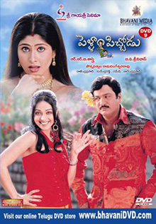 <i>Pellam Pichodu</i> 2005 Indian film