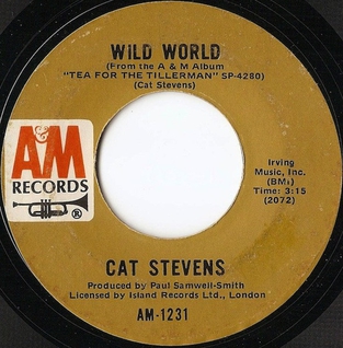 <span class="mw-page-title-main">Wild World (song)</span> 1970 single by Cat Stevens