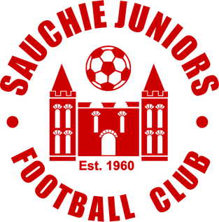 <span class="mw-page-title-main">Sauchie Juniors F.C.</span> Association football club in Scotland