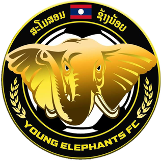 <span class="mw-page-title-main">Young Elephants FC</span> Laotian football club