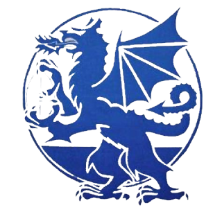 <span class="mw-page-title-main">Cardiff City Blue Dragons</span> Defunct Welsh rugby league club