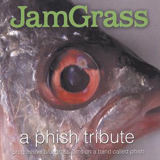 <i>JamGrass</i> 2004 studio album by Various Artists (Phish Tribute)