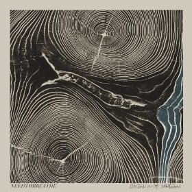 <i>Rivers in the Wasteland</i> 2014 studio album by Needtobreathe