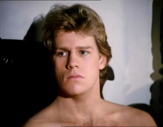 <span class="mw-page-title-main">Steven Carrington</span> Soap opera character