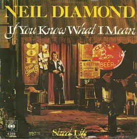 <span class="mw-page-title-main">If You Know What I Mean</span> 1976 single by Neil Diamond