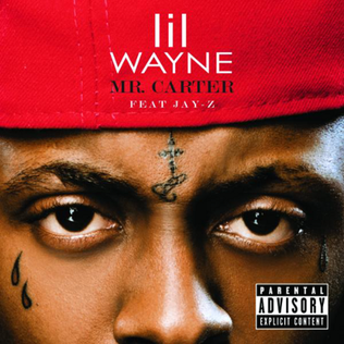 <span class="mw-page-title-main">Mr. Carter</span> 2008 single by Lil Wayne featuring Jay-Z