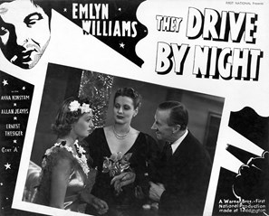 <i>They Drive by Night</i> (1938 film) 1938 film by Arthur B. Woods