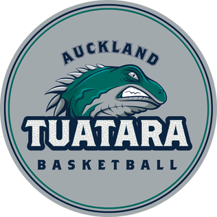 <span class="mw-page-title-main">Auckland Tuatara (basketball)</span> Semi-professional basketball team in Auckland, New Zealand