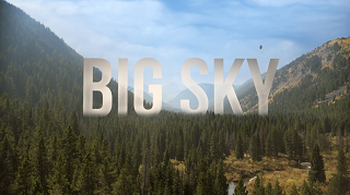 <i>Big Sky</i> (American TV series) American crime drama thriller television series (2020–2023)