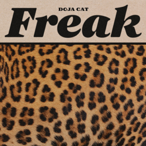 <span class="mw-page-title-main">Freak (Doja Cat song)</span> 2020 promotional single by Doja Cat