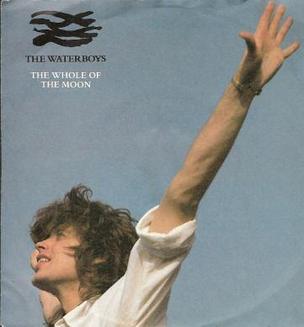 <span class="mw-page-title-main">The Whole of the Moon</span> 1985 single by the Waterboys