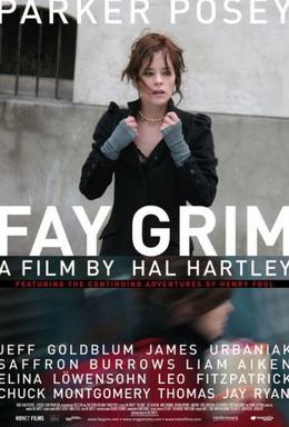 <i>Fay Grim</i> 2006 American film