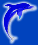 <span class="mw-page-title-main">PCU Dolphins</span>