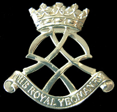 <span class="mw-page-title-main">Royal Yeomanry</span> British Army reserve regiment