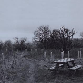 <span class="mw-page-title-main">Sadboy</span> 2018 single by Wolf Alice