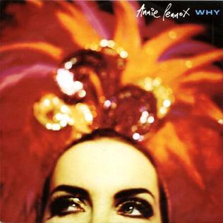 Why (Annie Lennox song) 1992 single by Annie Lennox