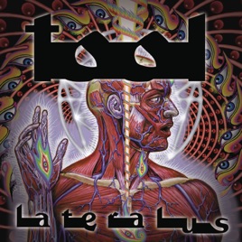 <i>Lateralus</i> 2001 studio album by Tool