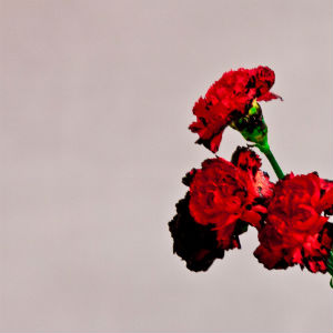 <i>Love in the Future</i> 2013 studio album by John Legend