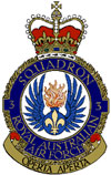 <span class="mw-page-title-main">No. 3 Squadron RAAF</span> Royal Australian Air Force squadron