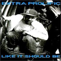 <i>Like It Should Be</i> 1994 studio album by Extra Prolific