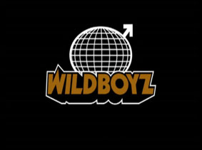 <i>Wildboyz</i> American television series