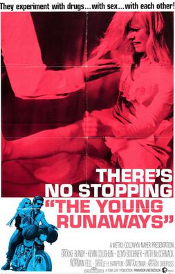 <i>The Young Runaways</i> (1968 film) 1968 film by Arthur Dreifuss