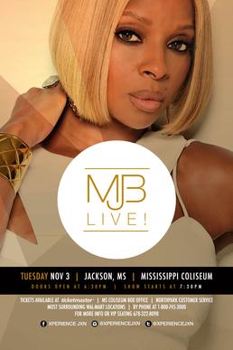 <span class="mw-page-title-main">The London Sessions Tour</span> 2015 concert tour by Mary J. Blige