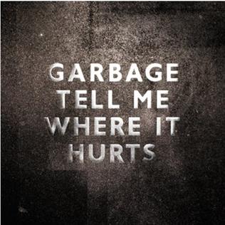 <span class="mw-page-title-main">Tell Me Where It Hurts (Garbage song)</span> 2007 single by Garbage