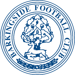 <span class="mw-page-title-main">Barkingside F.C.</span> Association football club in England