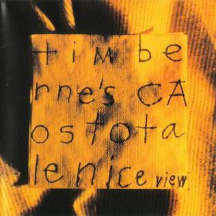 <i>Nice View</i> (album) 1994 studio album by Tim Bernes Caos Totale