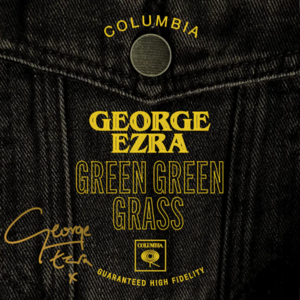 <span class="mw-page-title-main">Green Green Grass (song)</span> 2022 single by George Ezra