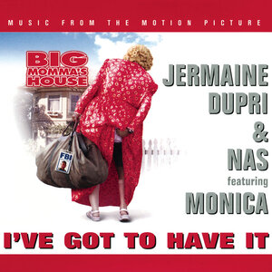 <span class="mw-page-title-main">I've Got to Have It</span> 2000 single by Jermaine Dupri and Nas featuring Monica