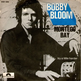 <span class="mw-page-title-main">Montego Bay (song)</span> 1970 single by Bobby Bloom