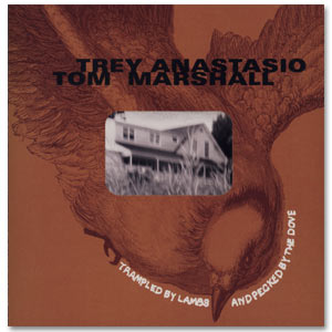 <i>Trampled by Lambs and Pecked by the Dove</i> 2000 studio album by Trey Anastasio and Tom Marshall