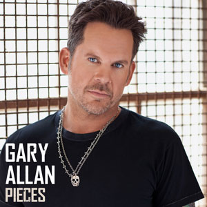 <span class="mw-page-title-main">Pieces (Gary Allan song)</span> 2013 single by Gary Allan