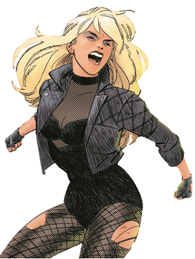 <span class="mw-page-title-main">Black Canary</span> Comics character