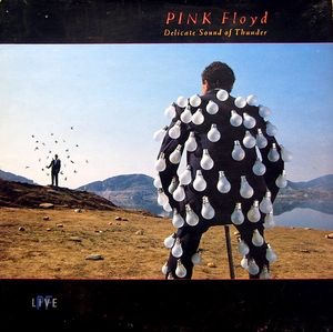 <i>Delicate Sound of Thunder</i> 1988 live album by Pink Floyd