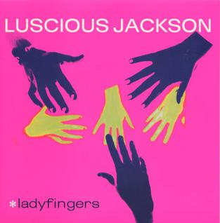 <span class="mw-page-title-main">Ladyfingers (song)</span> 1999 single by Luscious Jackson