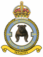 <span class="mw-page-title-main">No. 166 Squadron RAF</span> Defunct flying squadron of the Royal Air Force