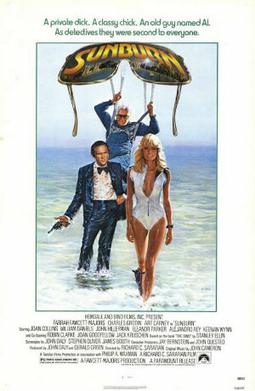 <i>Sunburn</i> (1979 film) 1979 film by Richard C. Sarafian