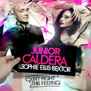 <span class="mw-page-title-main">Can't Fight This Feeling (Junior Caldera song)</span> 2010 single by Junior Caldera featuring Sophie Ellis-Bextor