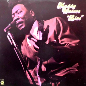 <i>Live at Mr. Kellys</i> 1971 live album by Muddy Waters